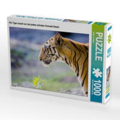 CALVENDO Puzzle Ein Tiger macht nur bei jedem zehnten Versuch Beute. | 1000 Teile Lege-Größe 64x48cm Foto-Puzzle für glückliche Stunden