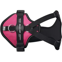Julius-K9 K9 Longwalk light sele w/trackerpocket,Dark pink,M (M, Hund), Halsband + Leine
