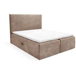 BOXBETT Arnau