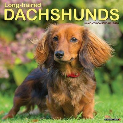 Longhaired Dachshunds 2026 Wall Calendar
