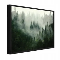 BILDER mit Rahmen Wald Nebel Grün Leinwandbild Deco 100x70 cm