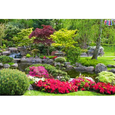 Fototapete PAPERMOON "GARTEN-BLUMEN BÄUME PFLANZEN PARK STEINE BLÜTEN WALD", bunt, B:3,5m L:2,6m, Vlies, Tapeten