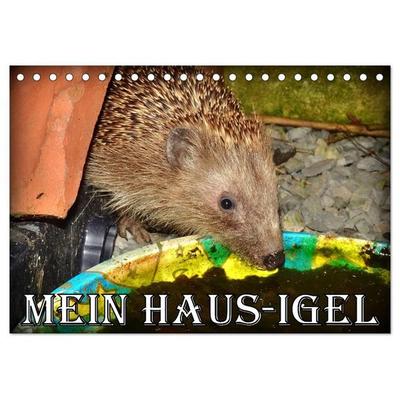Mein Haus-Igel (Tischkalender 2027 DIN A5 quer), CALVENDO Monatskalender