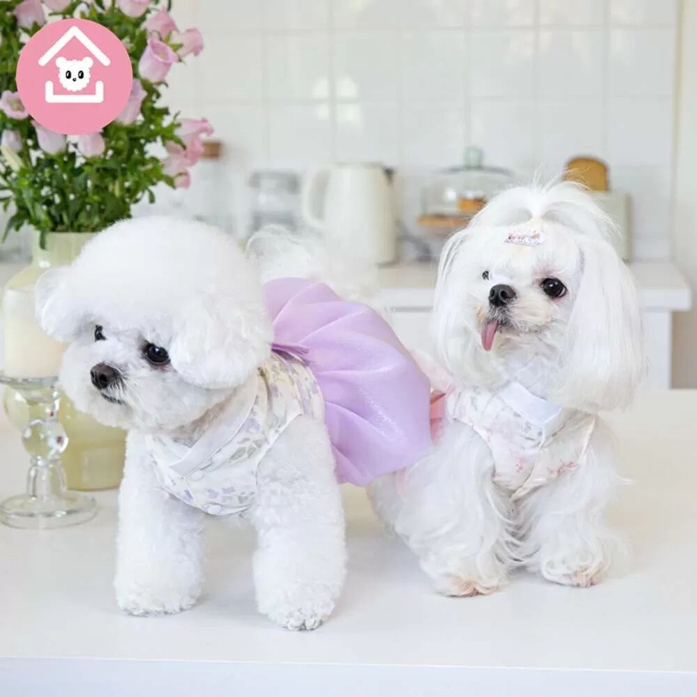 INF Koreanischer Hanbok-Stil für Haustiere – Bequemes & stilvolles Outfit für Katzen und Hunde Violett XS