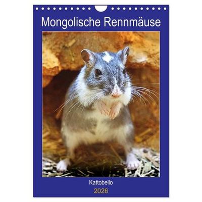 Mongolische Rennmäuse (Wandkalender 2026 DIN A4 hoch), CALVENDO Monatskalender
