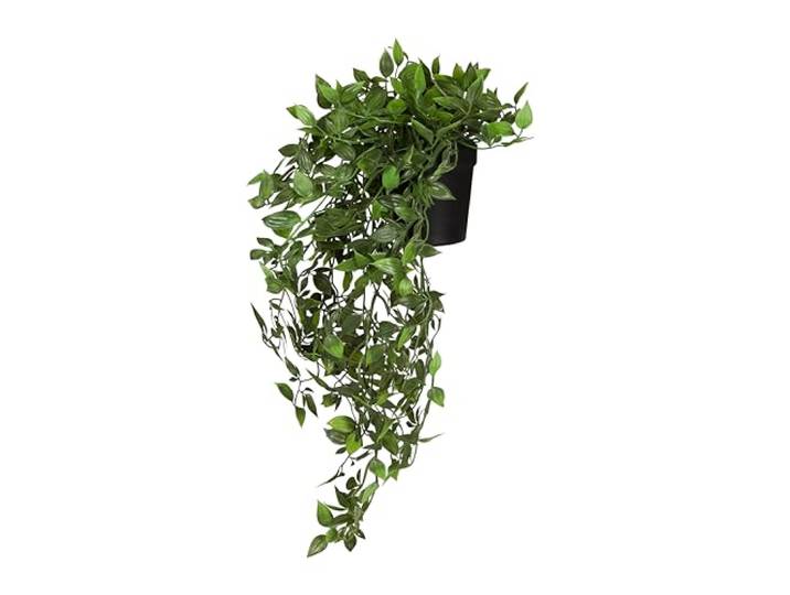 hjh OFFICE Plante suspendue Epipremnum Climb 20 cm - Vert persistant\, facile d'entretien\, réplique réaliste en plastique