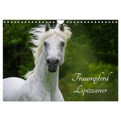 Traumpferd Lipizzaner (Wandkalender 2027 DIN A4 quer), CALVENDO Monatskalender