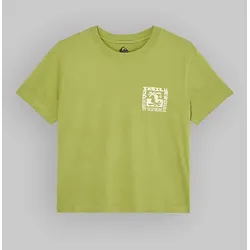 Quiksilver Standard T-Shirt calliste green Gr. M