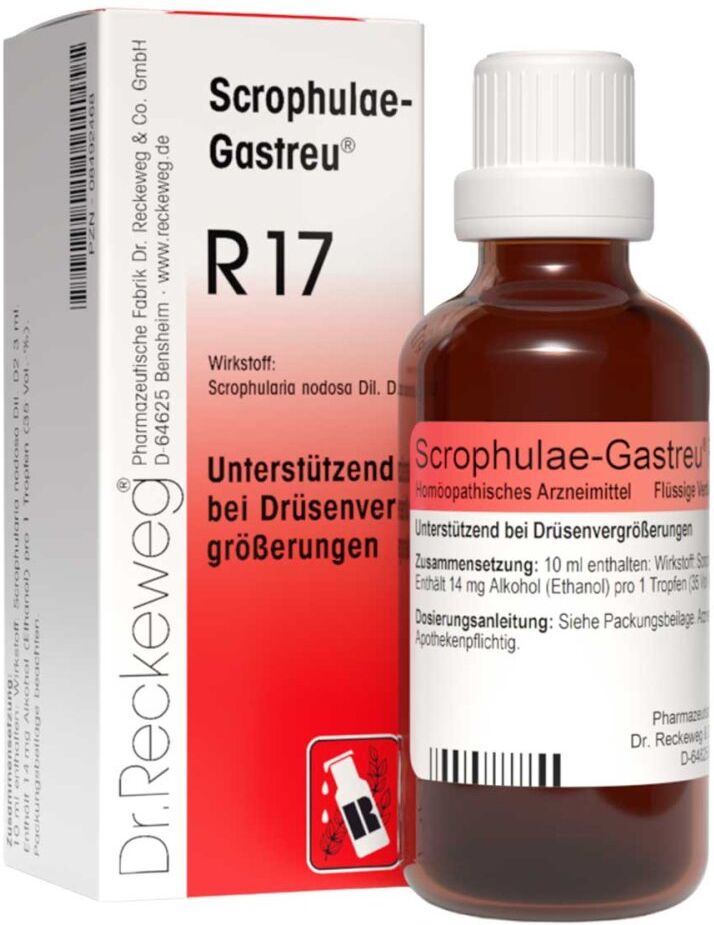 Scrophulae Gastreu R 17 Tropfen zum Einnehmen 50ml