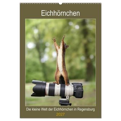 Die kleine Welt der Eichhörnchen in Regensburg (Wandkalender 2027 DIN A2 hoch), CALVENDO Monatskalender