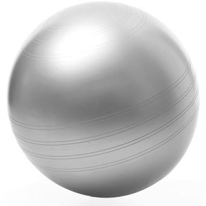 Togu Gymnastikball Sitzball ABS, Ø 45 cm, silber, belastbar bis 500 kg