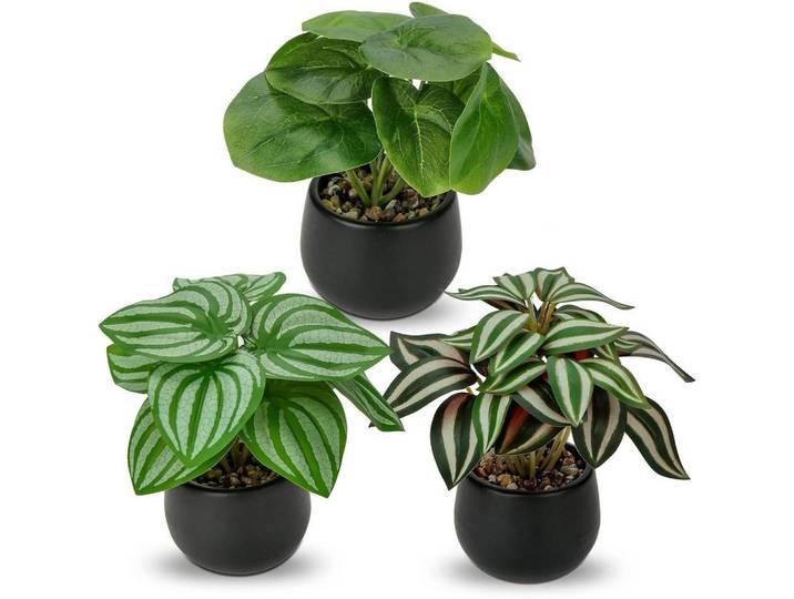 Kunstpflanze 3er Set mit Keramiktopf Höhe 15 cm, Mehrfarbig, 15 cm, Dekoration, Blumen & Blumentöpfe, Kunstpflanzen