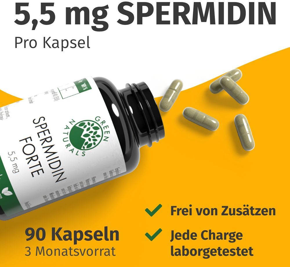 Green Naturals Spermidin Forte 5,5 mg vegan Kaps. 90 St Kapseln