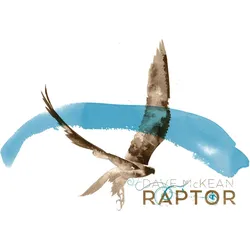 Raptor, Belletristik von Dave McKean, Stephanie Pannen