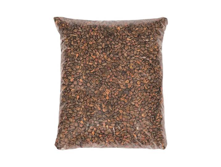 Glorex Traubenkerne 1 kg