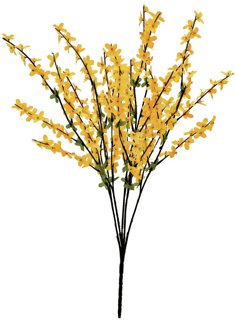 Europalms Forsythienbusch, 60cm