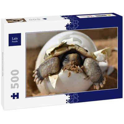 Lais Puzzle Wüstenschildkröte 500 Teile