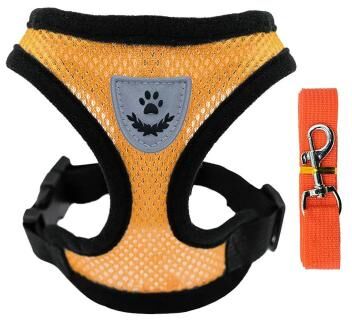 Uplifted Finds Ultra Breathable Air Mesh Harness & Leash Set orange xl