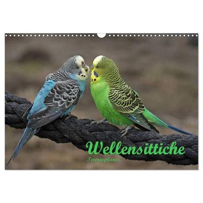 Terminplaner Wellensittiche (Wandkalender 2027 DIN A3 quer), CALVENDO Monatskalender