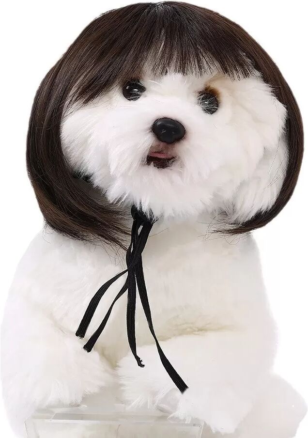 INF Perruque pour Chien Frange Bob Marron - Accessoire Cosplay Amusant