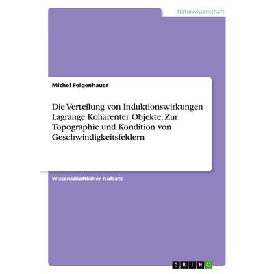 Die Verteilung von Induktionswirkungen Lagrange Kohärenter Objekte. Zur Topographie und Kondition von Geschwindigkeitsfeldern, Taschenbuch von Michel