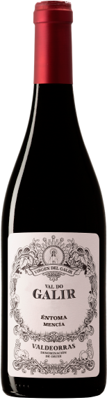 Virgen del Galir Val do Galir Mencía 2023 - 75cl