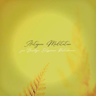 Autogene Meditation zum Beruhigen, Entspannen, Runterkommen (XXL-Bundle) - Institut für Burnout-Prävention, Audio, 4066339009516