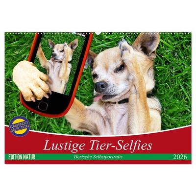 Lustige Tier-Selfies. Tierische Selbstportraits (Wandkalender 2026 DIN A2 quer), CALVENDO Monatskalender