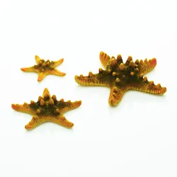 biOrb Seestern Set 3 gelb