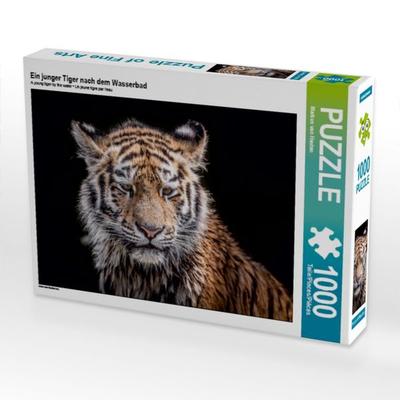 CALVENDO Puzzle Ein junger Tiger nach dem Wasserbad | 1000 Teile Lege-Größe 64x48cm Foto-Puzzle für glückliche Stunden