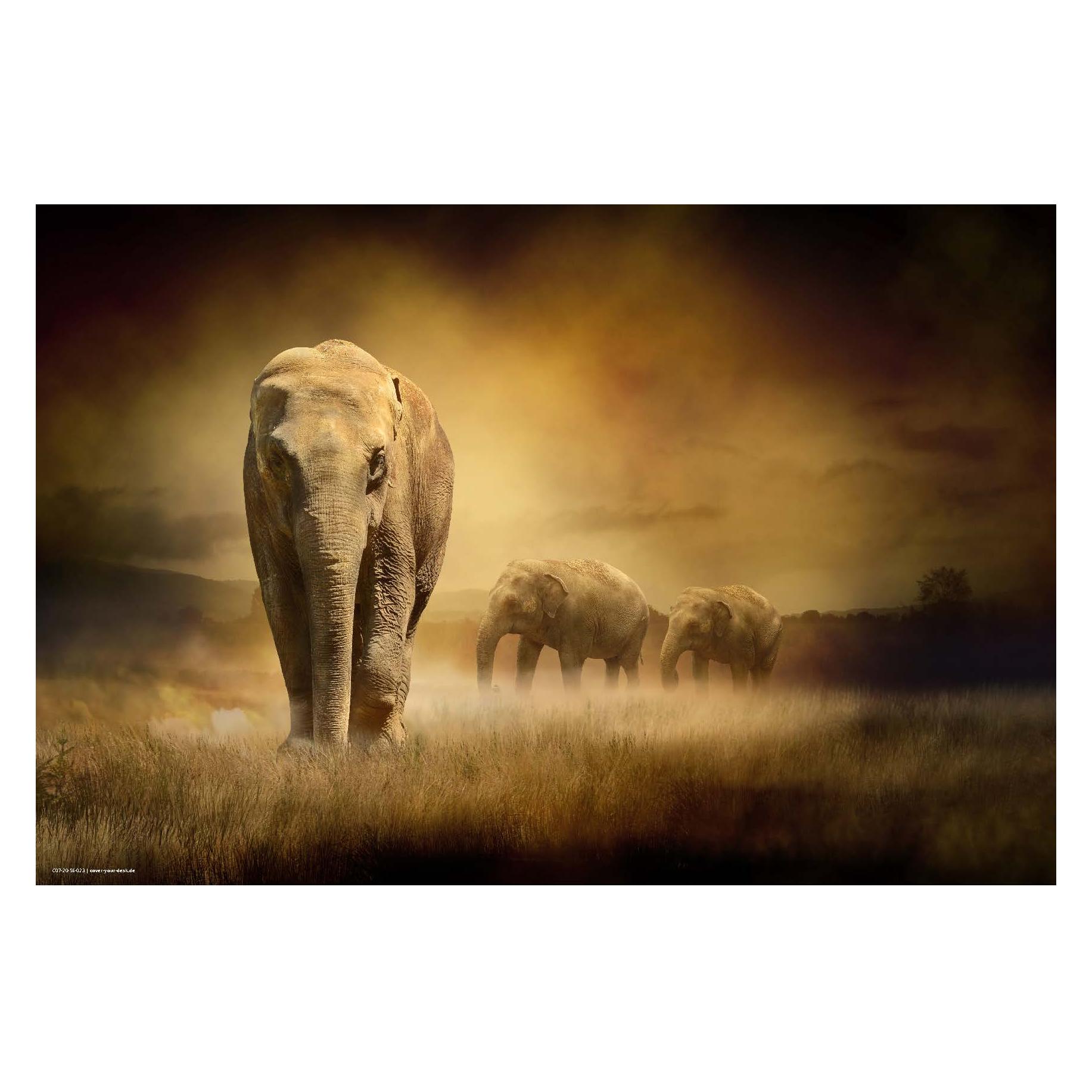 CoverYourDesk Schreibtischunterlage Elefant (21557421)