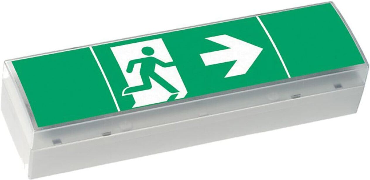 Ceag Notlichtsysteme LED-Einzelbatterie-Leuchte m.Prüftaster SV EURO4L LED 3h SET ; Eaton (40071354776)