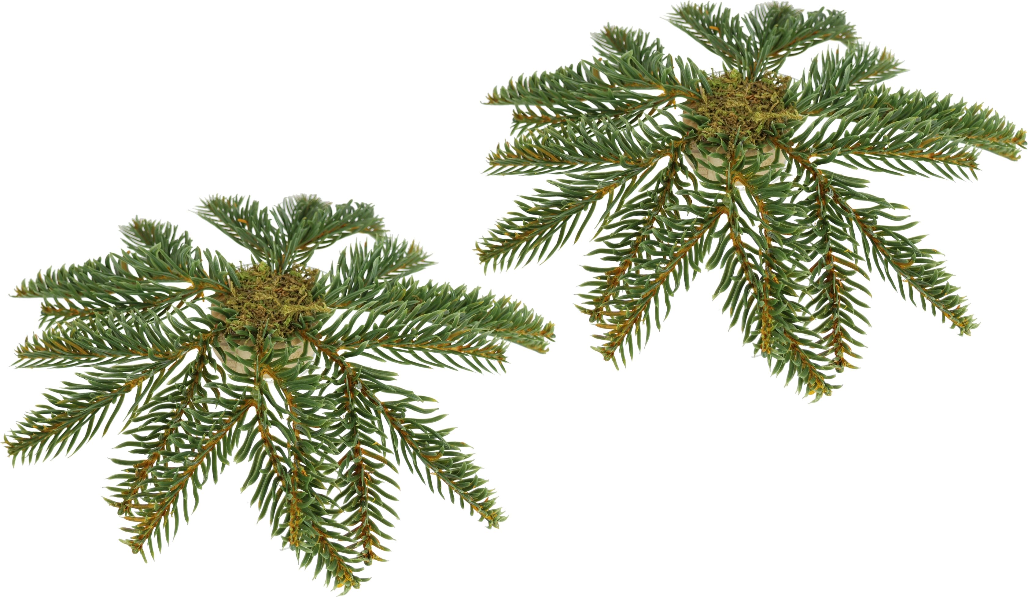 Kunstkranz I.GE.A. "Tannen-Leger", grün, B:27cm H:3cm L:27cm, Kunststoff, Kunstpflanzen, Kunstkranz, 2er Set Basis für Kränze Arrangements Tannen-Aufleger Dekotanne
