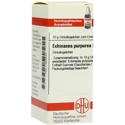 Echinacea Purpurea D 12 Globuli 10 g