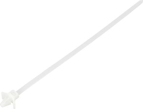 TRU COMPONENTS TC-13030688 TC-WM-200-4.8-N Kabelbinder 200mm 4.8mm Natur mit Flügelverschluss, chemische Beständigkeit 100St.