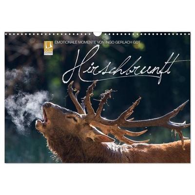 Emotionale Momente: Hirschbrunft (Wandkalender 2026 DIN A3 quer), CALVENDO Monatskalender
