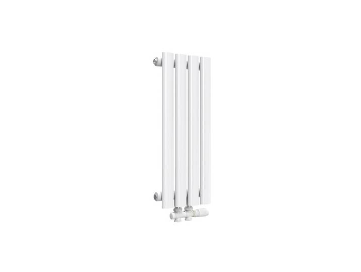 HEIZKÖRPER Doppelrohr vertikal montierbar Weiß 24/60/5,8 cm