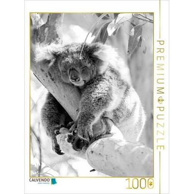 CALVENDO Puzzle Ein Motiv aus dem Kalender Koala Ein Bär, der kein Bär ist | 1000 Teile Lege-Größe 64x48cm Foto-Puzzle für glückliche Stunden