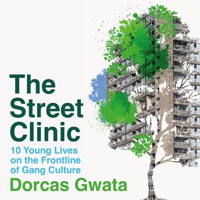 The Street Clinic - Dorcas Gwata, Audio, 9781035006946