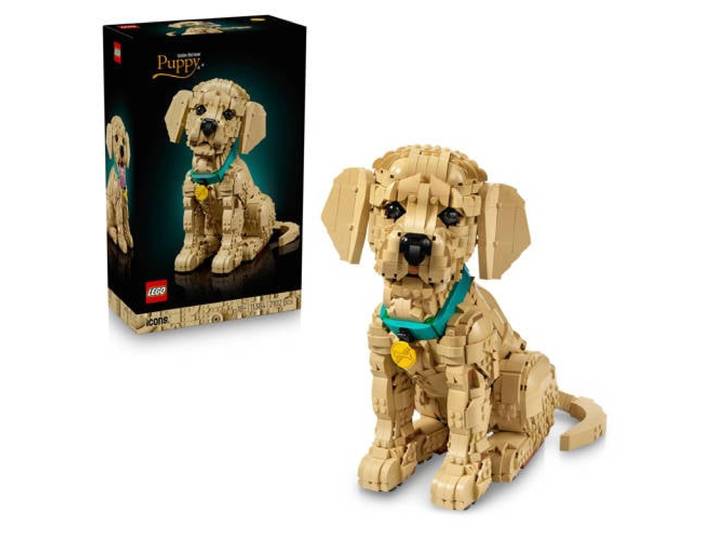 LEGO Icons Golden Retriever Puppy Bouwpakket met Dieren Figuur 11384