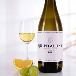Bodegas Ossian 2022 Bodegas Ossian Quintaluna 2022 Verdejo Spanien