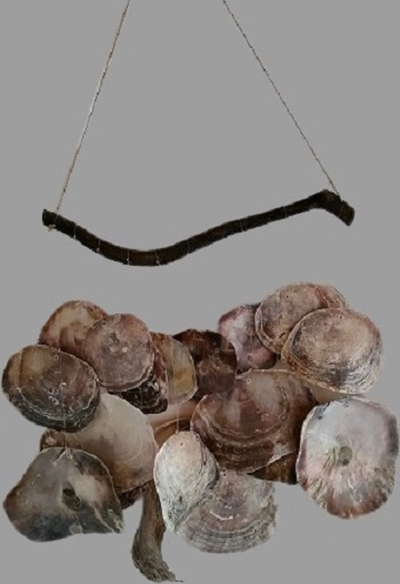 Decoratieve Capiz schelpenhanger voor aan de wand