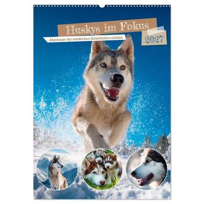Huskys im Fokus (Wandkalender 2027 DIN A2 hoch), CALVENDO Monatskalender