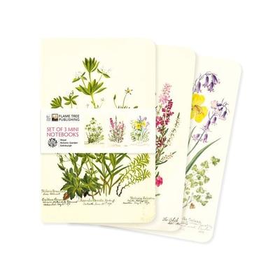Dreier Set Mini-Notizbücher: Royal Botanic Garden Edinburgh