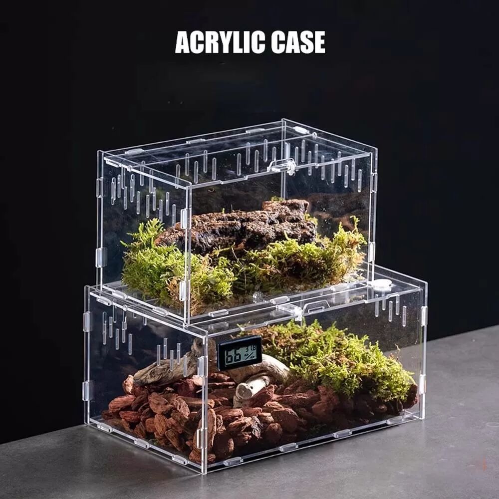 INF 2 Stk. Klare Acryl Reptilien Zuchtbox – Transparentes Terrarium für Gecko, Spinne, Skorpion, Gottesanbeterin S