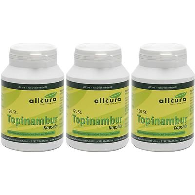 allcura Bio Topinambur 3x120 St Kapseln