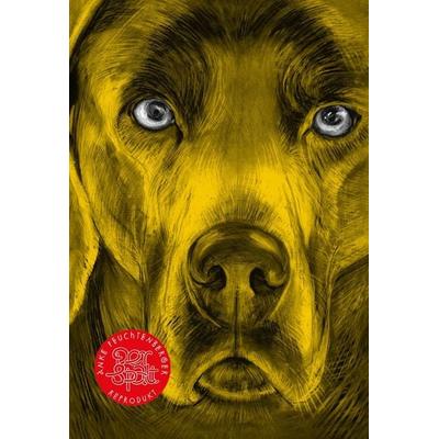 Der Spalt, Gebundene Ausgabe von Anke Feuchtenberger, Reprodukt, 978-3-95640-497-9