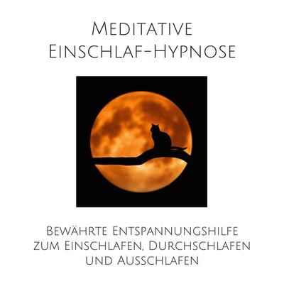 Meditative Einschlafhypnose - Patrick Lynen, Audio, 4057664546029