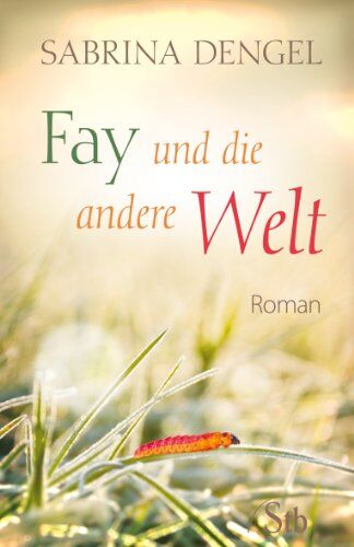 Sabrina Dengel - Fay und die andere Welt - Roman - Preis vom 09.10.2026 07:28:09 h