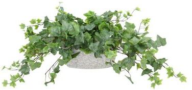 Creative Labs Ivy in Decorative Stone Vase